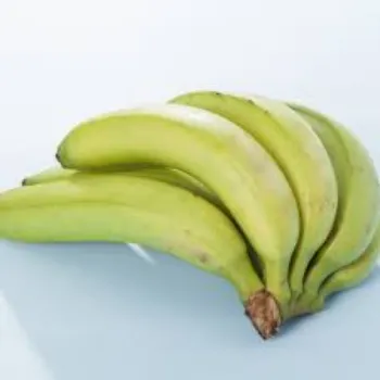 green-banana06-1066204-87606.webp