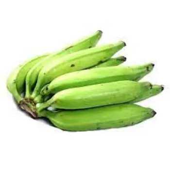 green-banana08-3337943-82462.webp