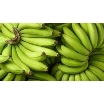 green-banana09-8869640-37064.webp