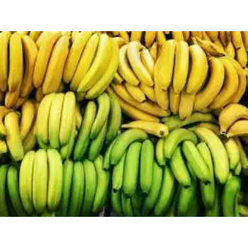 green-banana14-5103918-32238.webp