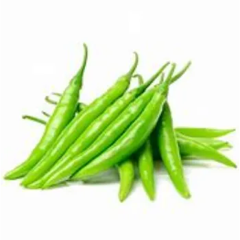 green-chilli-01-5374267-73296.webp