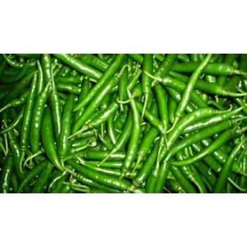green-chilli-02-7036130-6032.webp