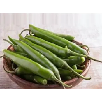 green-chilli-03-5319864-63685.webp