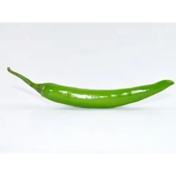 green-chilli-04-2404326-73737.webp