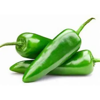 green-chilli-04-6556475-80199.webp