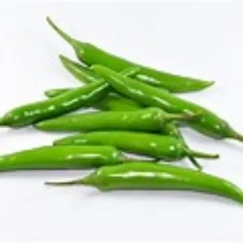 green-chilli-06-4214158-30736.webp