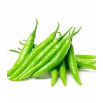 green-chilli-08-8616204-18604.webp