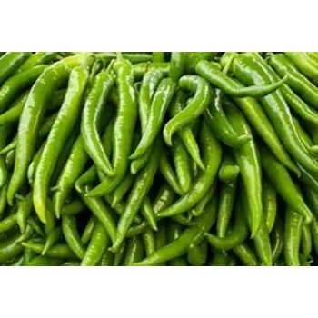 green-chilli-11-6708094-15851.webp