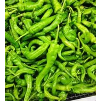 green-chilli-12-4220637-11300.webp
