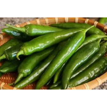 green-chilli-15-4981284-9047.webp
