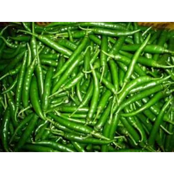 green-chilli-18-9766027-72711.webp