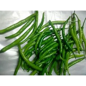 green-chilli-19-6858160-21176.webp