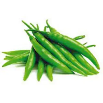 green-chilli01-1342896-5095.webp
