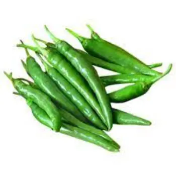 green-chilli02-9541075-60359.webp