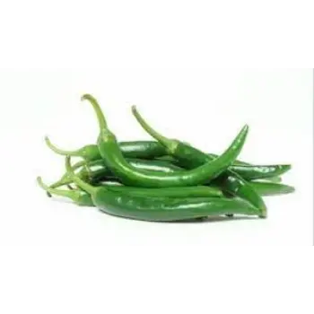 green-chilli04-4814063-73327.webp