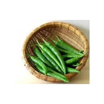green-chilli04-6007875-41842.webp
