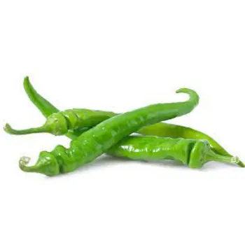 green-chilli05-7263139-71611.webp