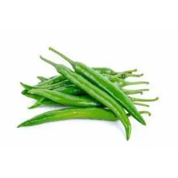 green-chilli06-9895032-78352.webp