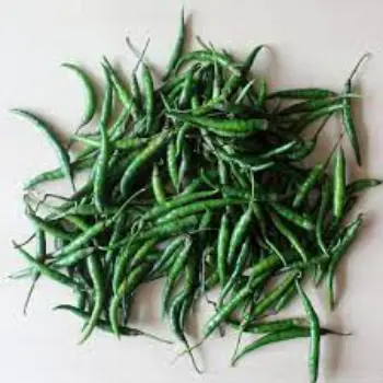 green-chilli07-4075306-41487.webp