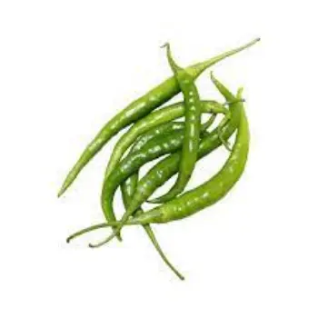 green-chilli08-3539637-49295.webp