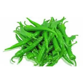 green-chilli09-9207525-55092.webp
