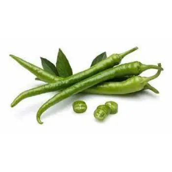 green-chilli10-633748-89307.webp