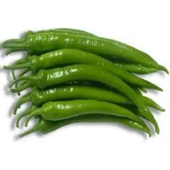 green-chilli11-5317766-86782.webp
