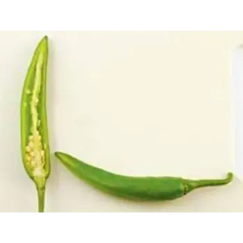 green-chilli15-328914-65128.webp