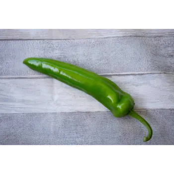 green-chillis-17-5124754-97827.webp