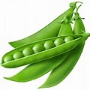 green-peas-04-6893227-36645.webp