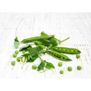 green-peas-08-499337-53869.webp