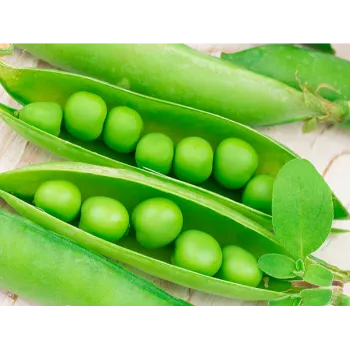 green-peas-12-2628023-93814.webp