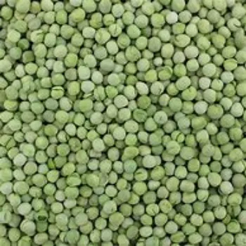 green-peas-15-7182931-24409.webp