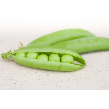green-peas-25-2701744-85396.webp