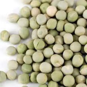 green-peas02-6797733-30758.webp