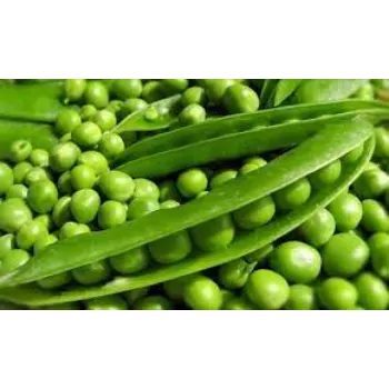 green-peas02-7902778-13744.webp