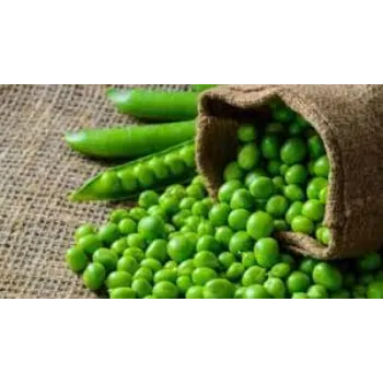 green-peas03-9420812-97677.webp