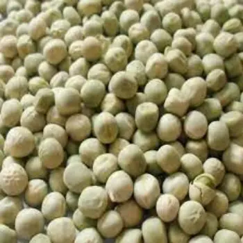 green-peas05-263713-75385.webp