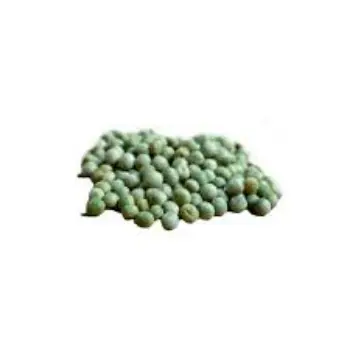 green-peas12-7785878-94777.webp