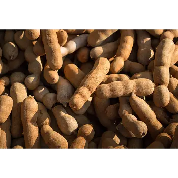 Fresh Imli imli-20-3782919-41462.webp