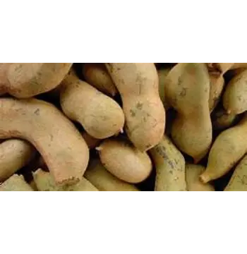 Fresh Imli imli14-3380132-1397.webp