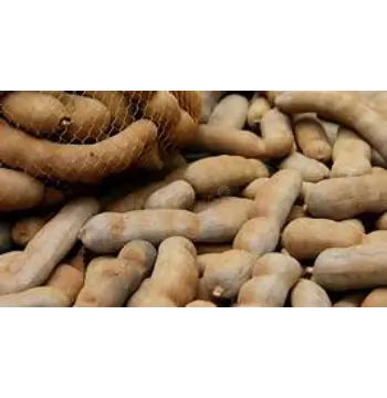Organic Imli imli17-8736521-28470.webp