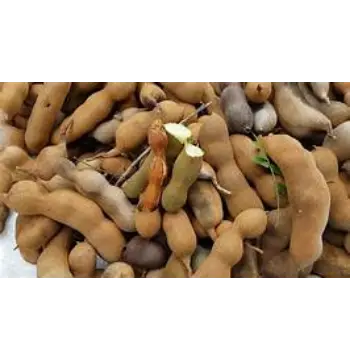 Fresh Imli imli22-7291022-67874.webp
