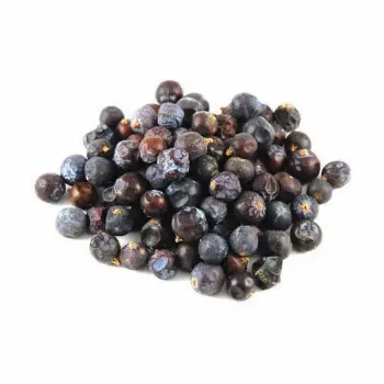 Common Juniper Berries juniper-berries-06-5671615-15353.webp