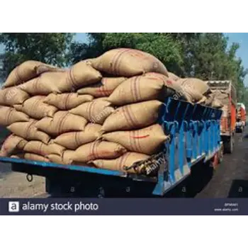 Multiple Jute Gunny Bags jute-gunny-bags38-2800631-56048.webp