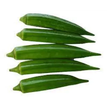 lady-finger05-9945553-73655.webp
