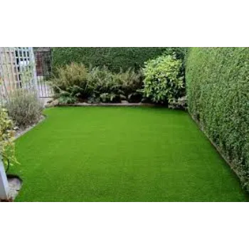 organic Lawn Grass lawn-grass-10-2725674-71445.webp