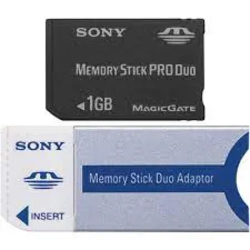 memory-stick-duo-pro-05-9076755-59558.webp