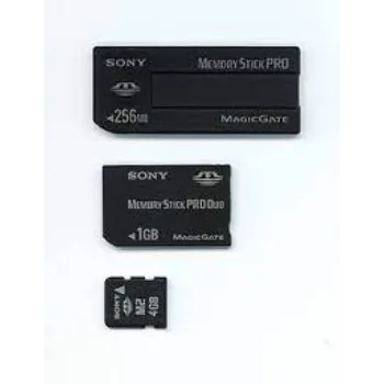 memory-stick-duo-pro-08-8136271-22173.webp