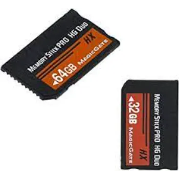 memory-stick-duo-pro-1-5270352-10631.webp